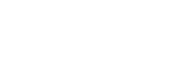 referencia - webshippy