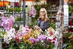 Termékfotózás, közösségi média fotózás, employer branding fotózás, lifestyle fotózás, TikTok fotózás, videózás, reklámfotózás, céges fotózás, ipari fotózás, imázs fotózás, imázsvideó készítés, portréfotózás, portréfotózás árak, stúdió fotózás, üzleti portré, üzleti portréfotózás, fotózás árak, női portré, portré, headshot, művészi fotózás