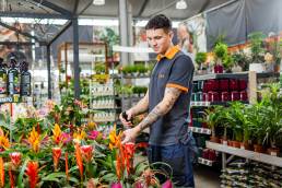 Termékfotózás, közösségi média fotózás, employer branding fotózás, lifestyle fotózás, TikTok fotózás, videózás, reklámfotózás, céges fotózás, ipari fotózás, imázs fotózás, imázsvideó készítés, portréfotózás, portréfotózás árak, stúdió fotózás, üzleti portré, üzleti portréfotózás, fotózás árak, női portré, portré, headshot, művészi fotózás